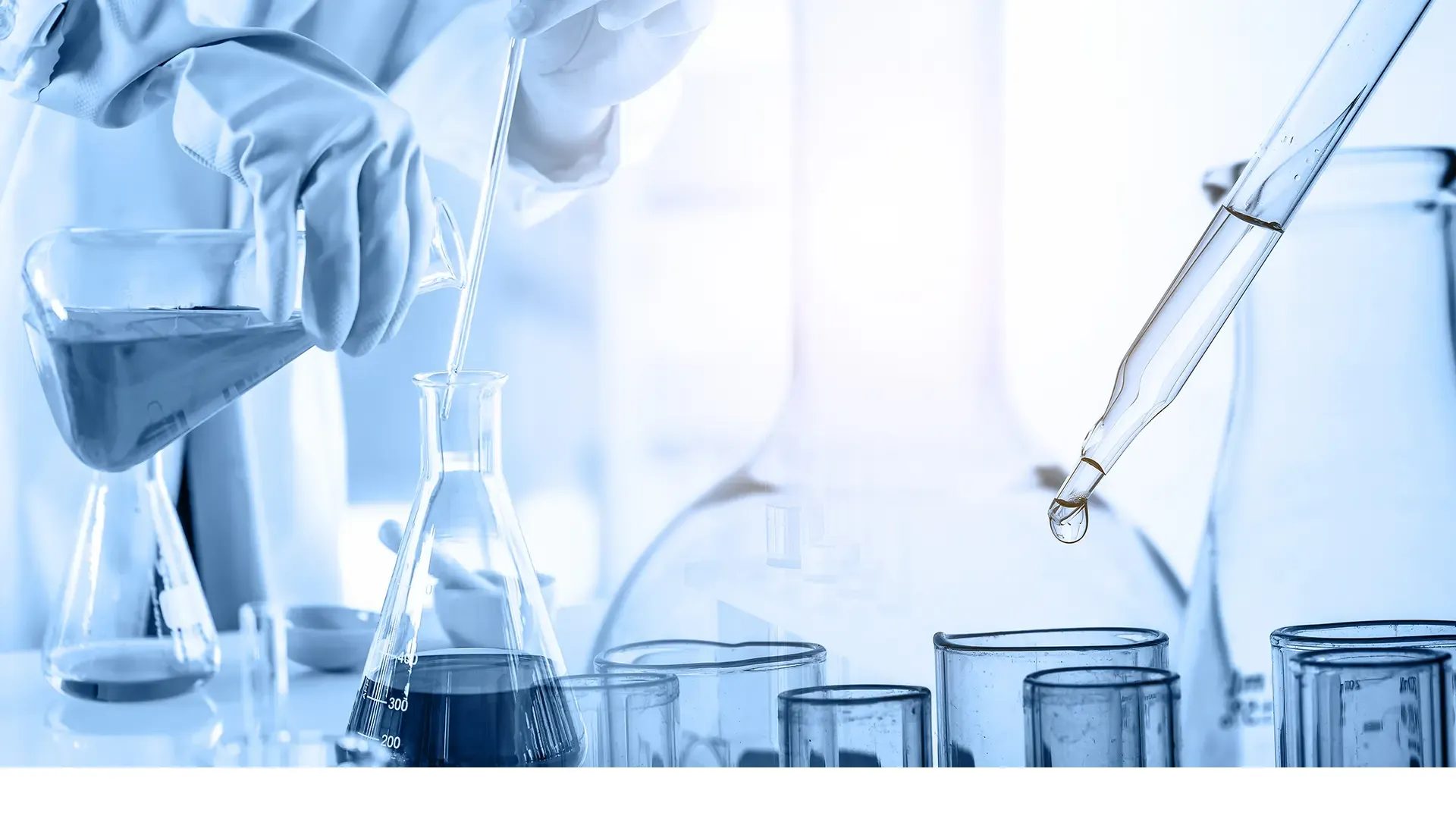 Laboratorio BIO